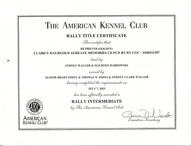SmallPicture of Rhys's certificate